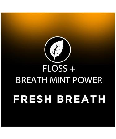 DenTek Fresh Breath Floss Picks - Mint Flavor 400 Count | International Shipping Available - Buy Online on GoSupps.com