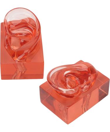Transparent Acrylic Ear Model for Right Ear - Ideal for Observation | Buy Internationally - Buy Online on GoSupps.com