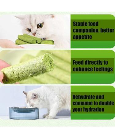 Cat Grass Teething Stick Cat Grass Teething Stick Hairballs Cat Grass Teething Sticks for Indoor Cats Cat Teeth Cleaning Cat Grass Stick for Cadental Care Increase Appetite (6pcs) - Buy Online on GoSupps.com