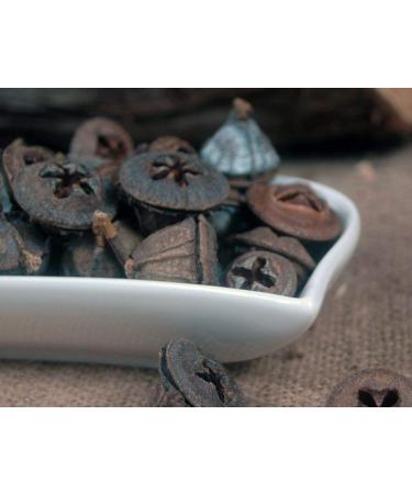 Krauterino24 Krauterino24 - Whole eucalyptus fruits quantity: 250 g