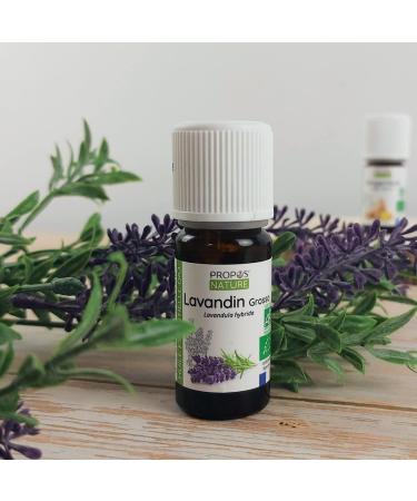 Buy He Lavandin Grosso Essential Oil - 10ml | Premium Quality & International Shipping - Buy Online on GoSupps.com