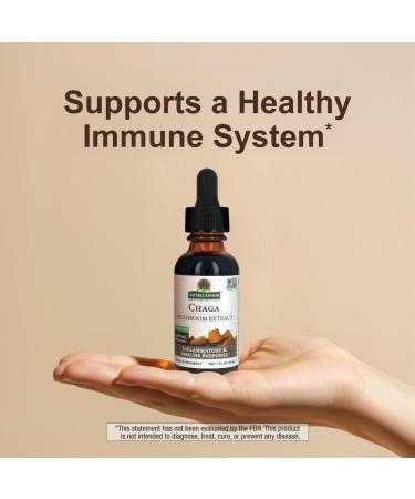 Nature's Answer Chaga Mushroom Extract Alcohol Free 1 fl oz (30 ml) - Buy Online on GoSupps.com
