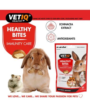 VETIQ Healthy Bites Small Animals Variety Pack 4x30g For Hamster Guinea Pig & Rabbit Treats Odour control Nutrition booster immune system care calming remedy dental care with no preservatives 30 g (Pack of 4) Variety Pack 4x30g - Buy Online on GoSupps.com