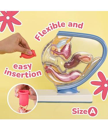 UVA 2 Reusable Menstrual Cup Kit - Size A for Moderate Flow | Durable Leak-Proof Silicone | Includes Sterilizer & Travel Bag | Eco-Friendly Period Solution - Buy Online on GoSupps.com
