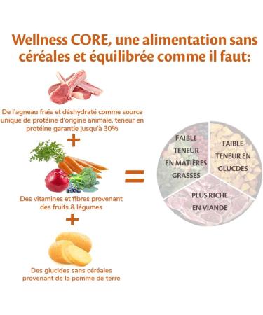 Wellness Core Lamb Natural and Grain-Free Dog Food for All Sizes Lamb 10 kg - Buy Online on GoSupps.com