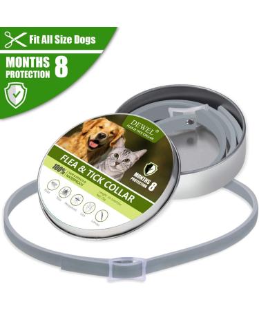 DEWEL 63.5cm Adjustable Waterproof Tick Collar for Dogs & Cats - Effective Anti-Flea Solution - Buy Online on GoSupps.com