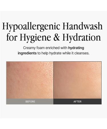 groundplan Hand Wash 10.14 fl oz Foaming Gel Cleanser with Botanical Extracts, Non-Drying Formula for Soft Hands, Natural Lavender Scent - Buy Online on GoSupps.com