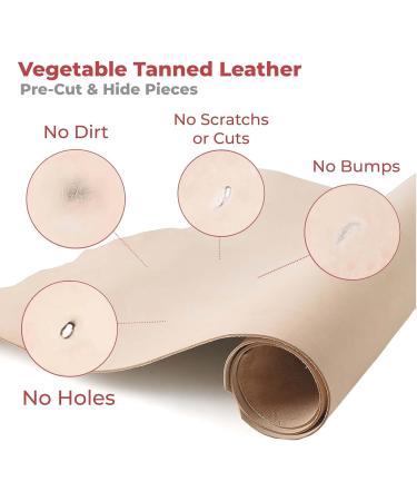 ELW Vegetable Tanned Leather Belt Blank 5-6oz Thickness 1/2-4W x 52L - Full Grain Veg Tan Tooling Leather Strap - Buy Online on GoSupps.com