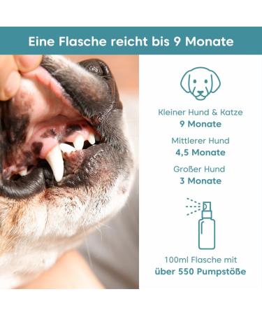 Pfot Buddies Dental Fairy Spray for Dogs & Cats - Natural Tartar Remover Fresh Breath & Dental Care - 100ml with 50 Fermented Herbs - Lasts Up to 9 Months - Buy Online on GoSupps.com