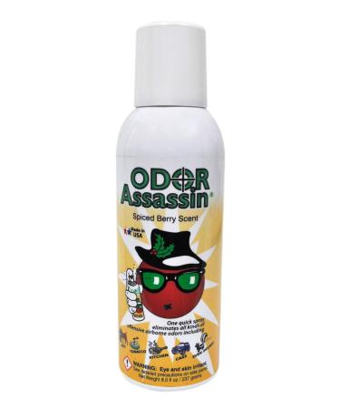 Odor Assassin Odor Eliminator Cranberry Spice Scent
