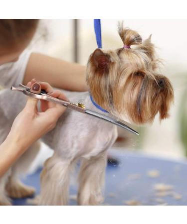 Dream Reach 7 Professional Pet Grooming Curved Scissors - Japanese Steel Shears for Dog, Cat & More (7 inch) - Buy Online on GoSupps.com