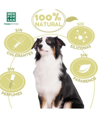 Buy San Chien Caramel Apple Shampoo for Men (5L) - Nourishing & Revitalizing Hair Care | International Shipping Available - Buy Online on GoSupps.com