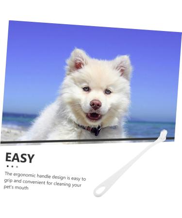 BESPORTBLE 5pcs Pet Toothbrush Dog Oral Cleaning Toothbrush Dog Supply Toothbrush for Small Dogs Pet Single-head Brush Dog Oral Care Dog Toothbrush and Toothpaste Pet Brush Pet Supplies 1 count (Pack of 1) Whitex5pcs - Buy Online on GoSupps.com