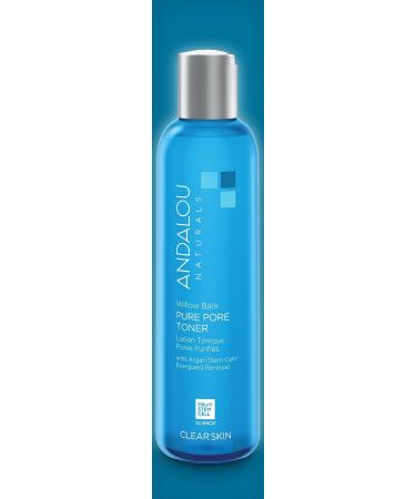 Andalou Naturals Willow Bark Pure Pore Toner - 6 Fl Oz - Buy Online on GoSupps.com