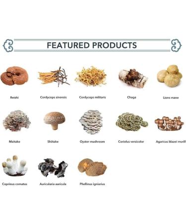 Hi-Q Duan-Wood Lingzhi/Ganoderma Lucidum/Reishi Oil Capsule 350mg 110 Capsules CO2 Extract - Buy Online on GoSupps.com