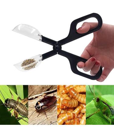Buy Yyyuluo 2-Piece Reptile Feeding Tools - Insect Fang Clamp & Cleaning Clip for Turtles & Spiders - 17.5cm Black - International Shipping Available - Buy Online on GoSupps.com