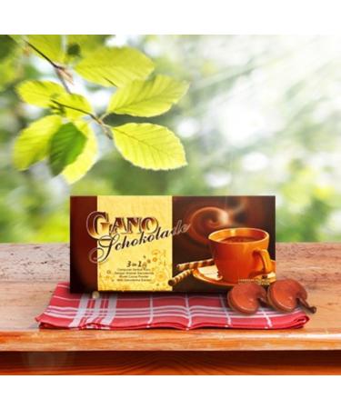 Gano Shokolade - Chocolate drink + ganoderma mushroom Gano Excel - Buy Online on GoSupps.com