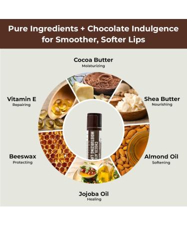 RaGaNaturals Natural Chocolate Lip Balm - Original Beeswax Shea Butter Jojoba Oil Vitamin E - All Day Hydration for Dry & Cracked Lips - Stocking Stuffers & Christmas Gift -Handmade in USA (4 Pack) - Buy Online on GoSupps.com