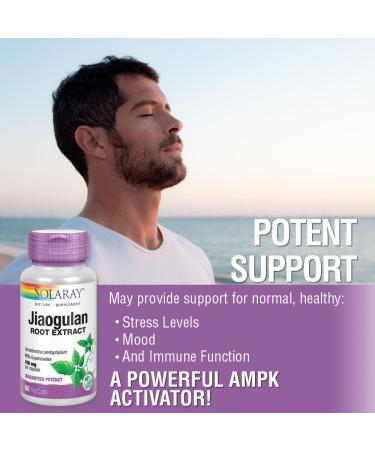 Solaray Jiaogulan Root Extract 410 mg - 60 Vegan Capsules for Wellness - Buy Online on GoSupps.com