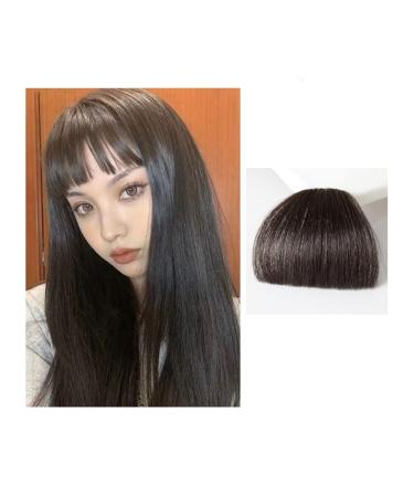 Bangs Hair Clip Natural Synthetic Hair Flat Bangs/Fringe Mini Fake Hair Bangs Fashion One Pieces Clip-in Air Bangs Hair Extension For Women Bangs Clip in Hair (Color : Black brown)