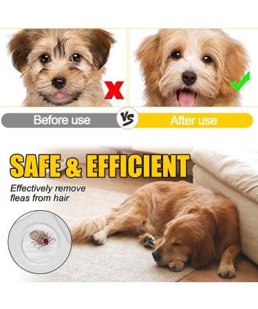 6 Peigne Anti Poux Pour Les Enfants Les Adultes Et Toute La Famille Il Peut galement Servir De Peigne Anti Puces Pour Chat Pr venir Les Puces Et Les Tiques - Buy Online on GoSupps.com