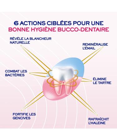 Sanogyl Global Care Toothpaste 3 x 75 ml - Buy Online on GoSupps.com