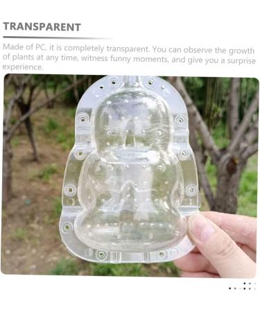EXCEART 2pcs Vegetable Shaping Mold Vegetables Growing Fruit Mold Adorable Buddha Mold Pumpkin Multifunction Transparent 10x7cm - Buy Online on GoSupps.com