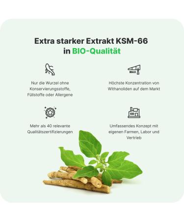 Vilgain Ashwagandha KSM-66 | Anti-Stress & Memory Support | 90 Capsules | Boost Physical Performance - Buy Online on GoSupps.com