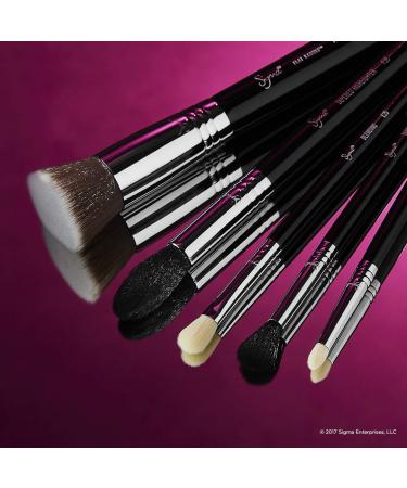 Buy SIGMA Beauty Most Wanted Makeup Brush Set 5 Essential Brushes for Flawless Foundation Highlighter Eyeshadow & Blending International Shipping Available - Buy Online on GoSupps.com
