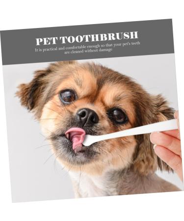FOMIYES 8 pcs Practical Brush Lightweight Small Handle Pet Teeth Puppy Handheld Dog for Plastic Cleaning 1 count (Pack of 1) Assorted Colorx2pcs - Buy Online on GoSupps.com