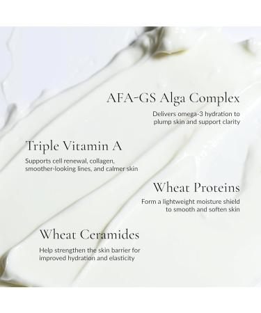 Nightinol Cream Retinol Night Moisturizer for Face | 2% Retinol Complex for Anti-Aging, Firming & Smoothing | Fades Wrinkles, Refines Texture, Boosts Collagen, Brightens Skin Tone - Buy Online on GoSupps.com