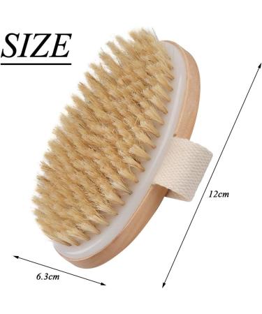 Premium Vegan Dry Body Brush | Natural Bristles Peeling Brush for Exfoliating Dead Skin Ideal for Bathing & Skincare - Buy Online on GoSupps.com
