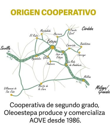  Oleoestepa OLEOESTEPA - Extra virgin olive oil - 3 liter jug - Buy Online on GoSupps.com