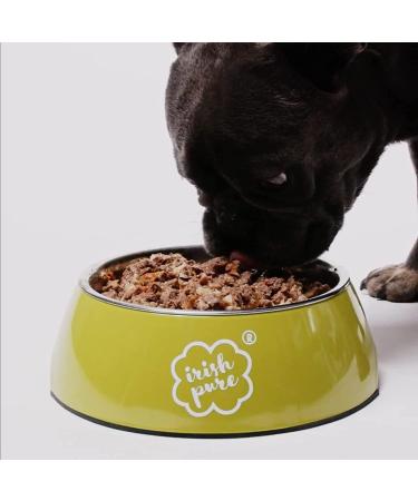 Irish Pure Premium Wet Dog Food - Atlantic Salmon | Cereal-Free | 6x390g | Superfood Kelp | Vitamins | Sensitive Formula | All Breeds - Buy Online on GoSupps.com
