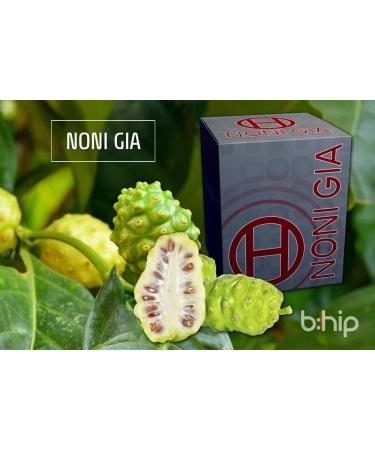 bHIP Noni Gia Sachets for Men/Women | Supports iBlue/iPink/iRed | 30 Individual Sachets + Shaker Cup | 12Oz | 30 Count - Buy Online on GoSupps.com