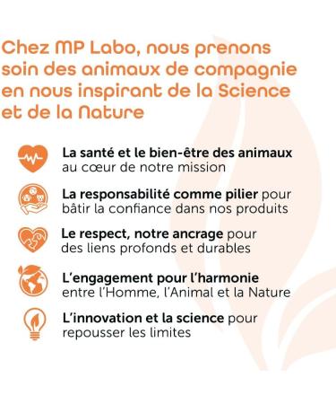 MP Labo Agepi Omega 3 Omega 6 - 90 Capsules pour Chien et Chat - Riche en Acides Gras Essentiels et Vitamines A et E - Buy Online on GoSupps.com