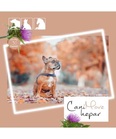 Canimove Hepar (NEW) - 100 Capsules for Dog Liver Support with Caraliv Silymarin & Choline | Veterinary Supplement - Buy Online on GoSupps.com