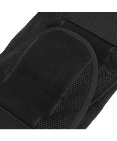 Back Support Belt for Waist & Back Braces (L) - Ultimate Comfort & Pain Relief | International Shipping Available - Buy Online on GoSupps.com