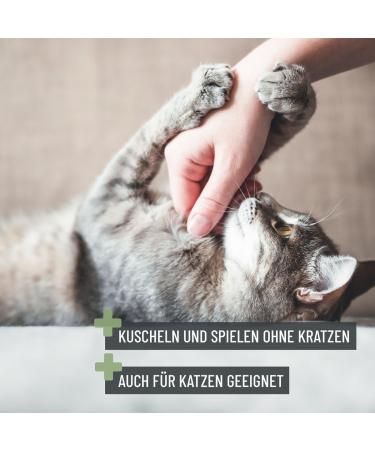 Reavet Claw Scissors for Dogs & Cats - Stainless Steel Nail Clippers with Claw File & Distance Holder for Pet Nail Care - Buy Online on GoSupps.com