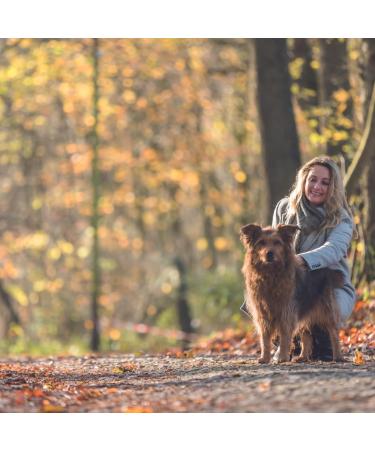 Trixie Leather Dog Leash Active V-Line - Black L-XL 2.50m 22mm for Large Dogs | Durable High Freight Room - Buy Online on GoSupps.com