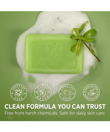 Tea Tree Oil Soap for Face and Body Deep Cleanses with Coconut Oil and Witch Hazel Foot Wash Foot Soap against Fungus and Odour - Buy Online on GoSupps.com