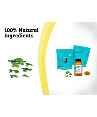 DR WAKDE Talisapatra Leaf Powder 1Kg - Pure Raw Vegan Fine Powder | Natural Aroma & Freshness | Premium Quality - Buy Online on GoSupps.com