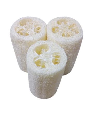 Fasloyu Luffa sponge 3 inch natural luffa cucumber sponge luffa peeling biodegradable lunch sponges perfect for personal care kitchen bathroom scrubber and luffa soap (white)