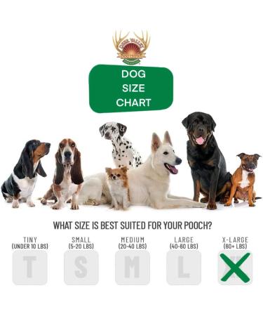 Deer Valley Dog Chews (Giant 2 Pack 8-10 Inches) Premium Dog Deer Antler for Dogs Over 50lbs - Long Lasting Dog Bone for Large Dogs and Aggressive Chewers - Buy Online on GoSupps.com