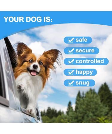 Navani Dog Seat Belts for Cars UK - Adjustable Headrest Dog Car Seat Belt with Harness Clip - Elastic Lead with Bungee Buffer Dog Car Harness - Essential Dog Car Accessories for Traveling Pets - 2psc - Buy Online on GoSupps.com