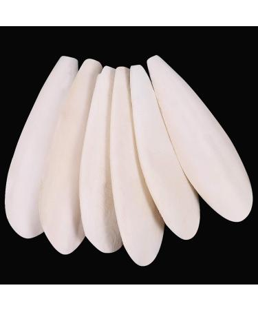 Shop Gitu 6-Piece Premium Sepia Bowls for Turtles Birds & Reptiles - Natural Calcium & Mineral Care (11-12cm) - Buy Online on GoSupps.com