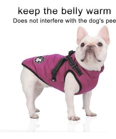 Luowan Waterproof Dog Coat for French Bulldogs | Warm Vest with Harness | Small Dog Jacket in Purple (S) - Buy Online on GoSupps.com
