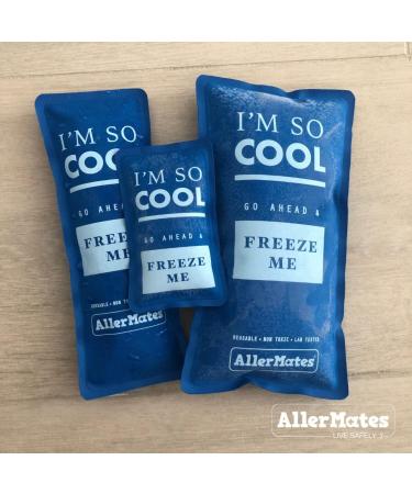 AllerMates Long Lasting Ice Gel Pack for Kid's Children's Large Medicine Cases - Buy Online on GoSupps.com