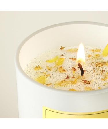 AOOVOO Vanilla Candles - Scented 10oz Natural Soy Wax Candles with Crystals | Perfect Gift for Women & Men | 60H Burn Time - Ideal for Birthdays & Christmas - Buy Online on GoSupps.com