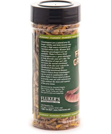 Fluker's Freeze Treats for Reptiles | Premium Healthy Snacks - Buy Online on GoSupps.com